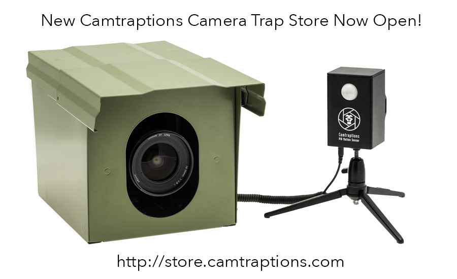 camera-trap-store