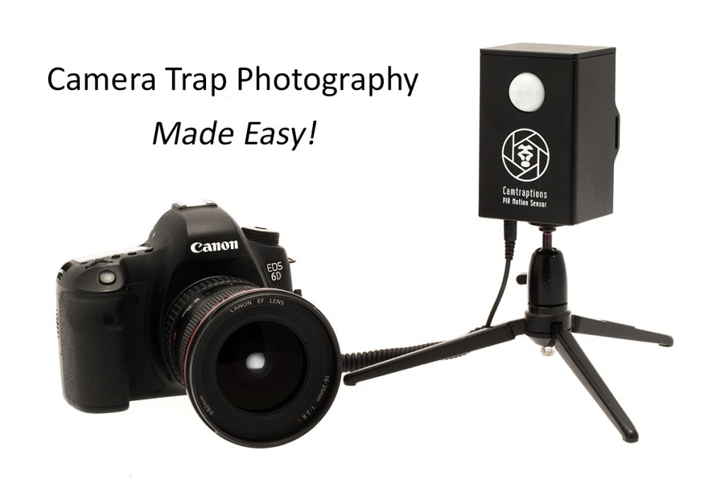 camera-trap-photography