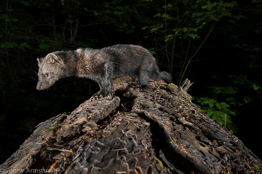 Jonny Armstrong – Alaska’s Great Wilderness