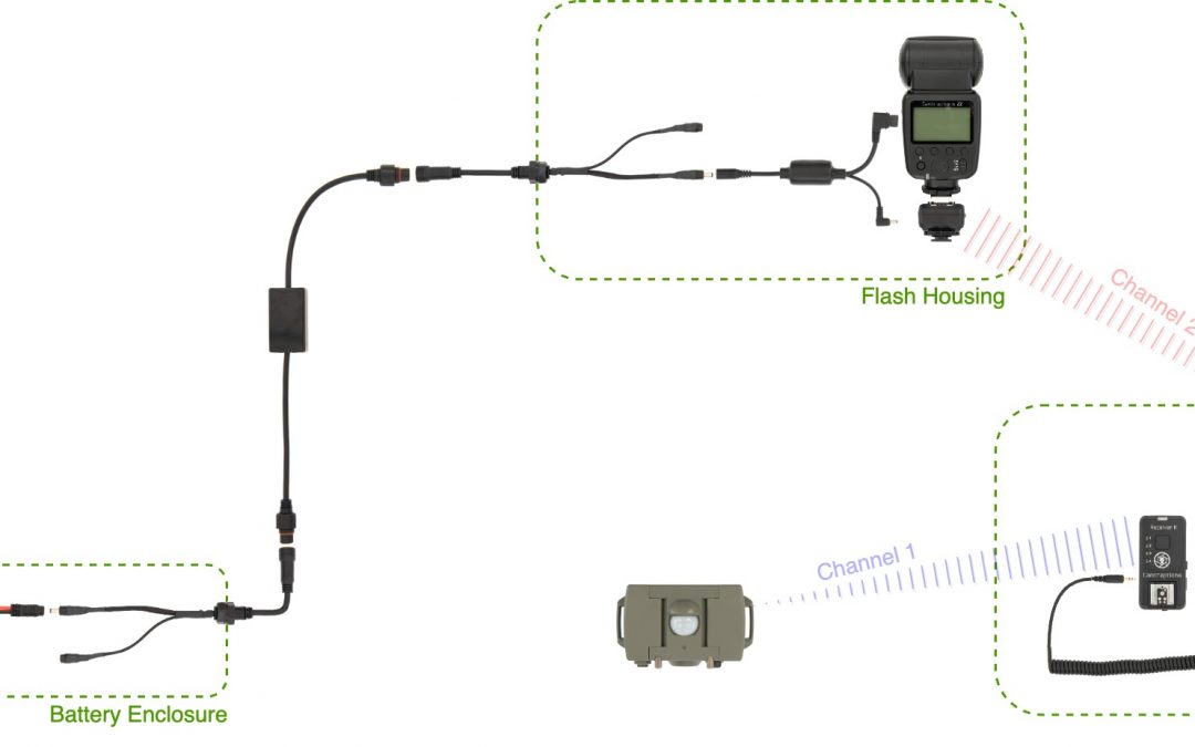 Wireless Stills Camera Trap with Externally-housed Flash Battery