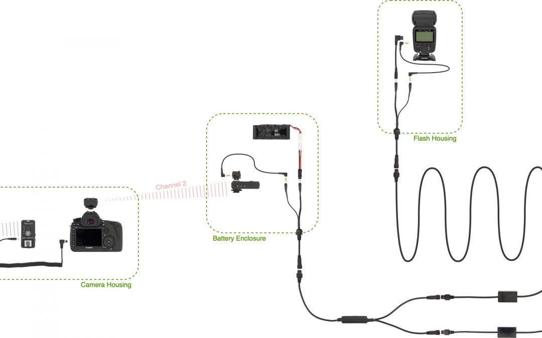 Wireless Stills Camera Trap with Two Flashes Sharing a Central Battery and Receiver