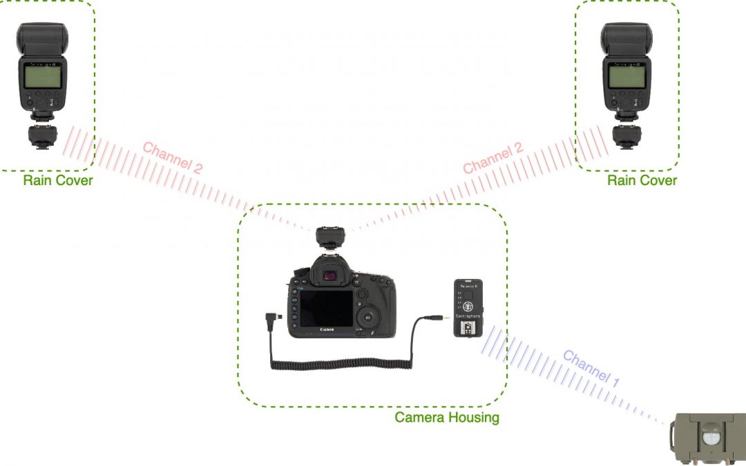 Wireless Stills Camera Trap with Two Flashes