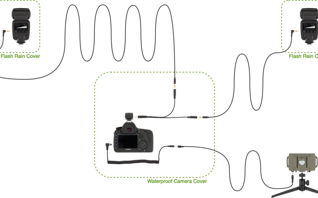 Garden Camera Trap Bundle Plus a Second Flash