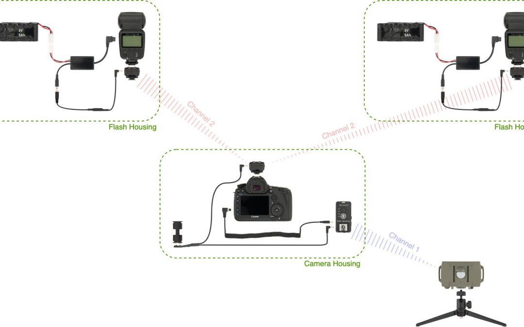 Wilderness Camera Trap Bundle for Stills